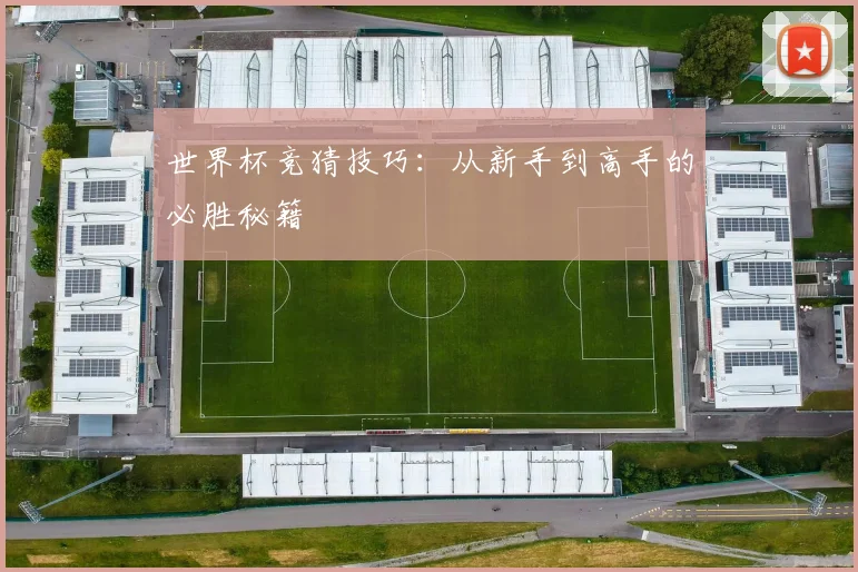 世界杯竞猜技巧：从新手到高手的必胜秘籍